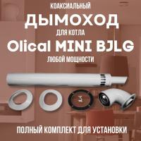 Дымоход для котла Olical MINI BJLG любой мощности, комплект антилед (Китай) (DYMminibjlg)