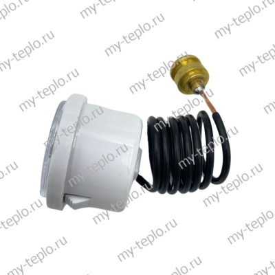 Манометр для котлов Baxi, аналог 7732049 (CPG28-B-1) Манометр для котлов Baxi, аналог 7732049 (CPG28-B-1)